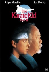 cover The Karate Kid Part II