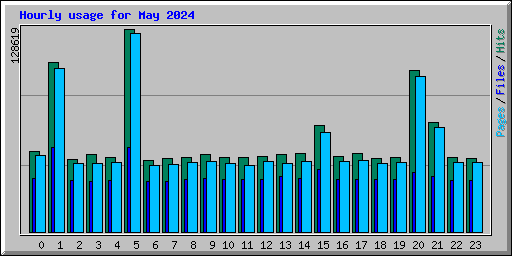 Hourly usage for May 2024